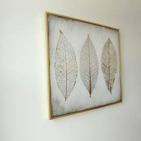 Centre De Entierement Equipe 64m2